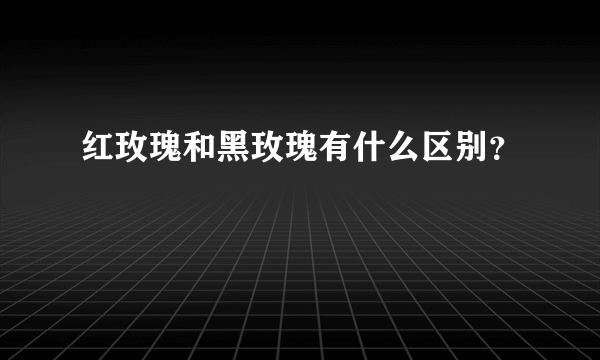 红玫瑰和黑玫瑰有什么区别？