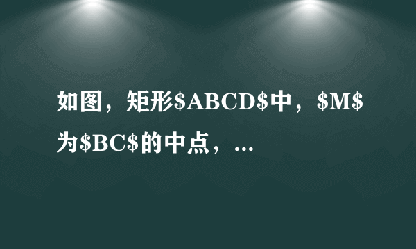 如图，矩形$ABCD$中，$M$为$BC$的中点，将$\triangle ABM$沿直线$AM$翻折成$\triangle AB_{1}M$，连结$B_{1}D$，$N$为$B_{1}D$的中点，则在翻折过程中，下列说法中所有正确的是（  ）A.存在某个位置，使得$CN\bot AB_{1}$