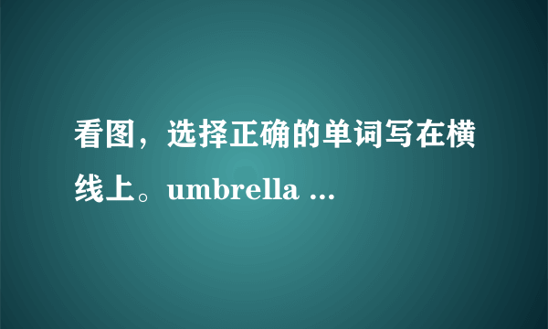 看图，选择正确的单词写在横线上。umbrella     cap     socks     crayon    T-shirt1. _______ 2. ________3. __________ 4. ___________