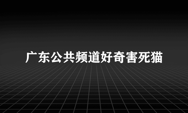 广东公共频道好奇害死猫