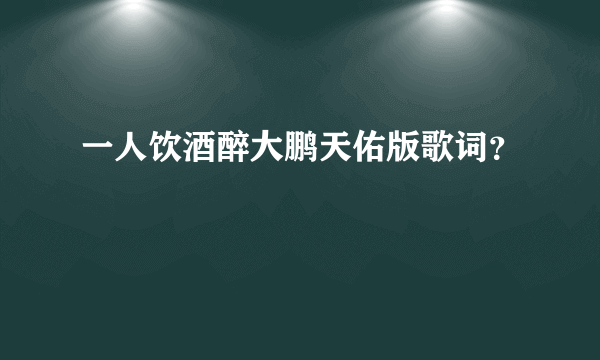 一人饮酒醉大鹏天佑版歌词？