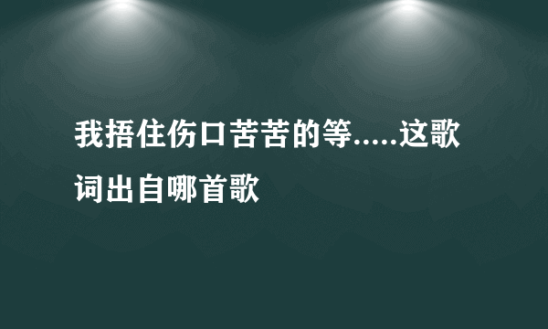 我捂住伤口苦苦的等.....这歌词出自哪首歌