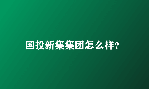 国投新集集团怎么样？