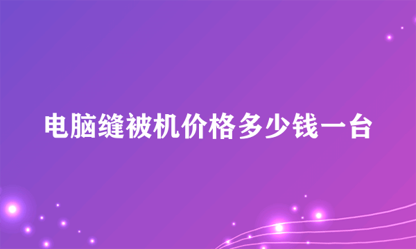 电脑缝被机价格多少钱一台