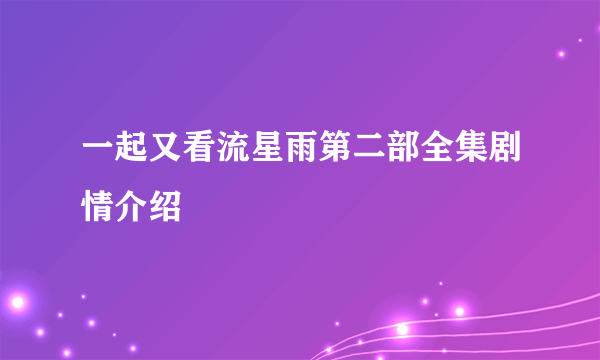 一起又看流星雨第二部全集剧情介绍