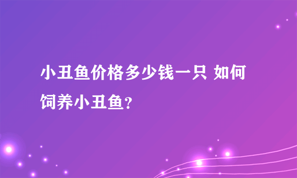 小丑鱼价格多少钱一只 如何饲养小丑鱼？