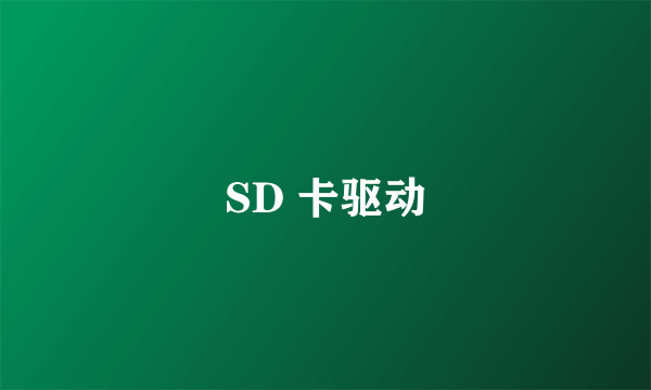 SD 卡驱动