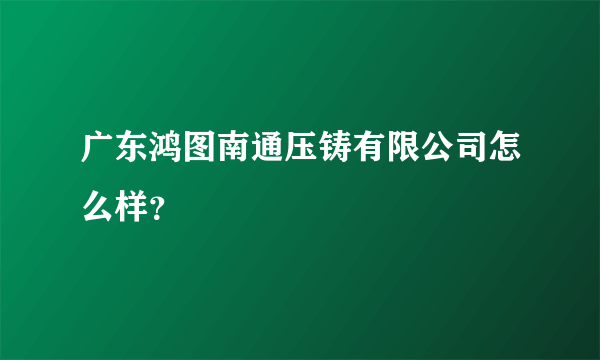 广东鸿图南通压铸有限公司怎么样？