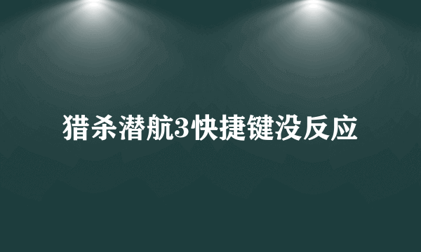 猎杀潜航3快捷键没反应