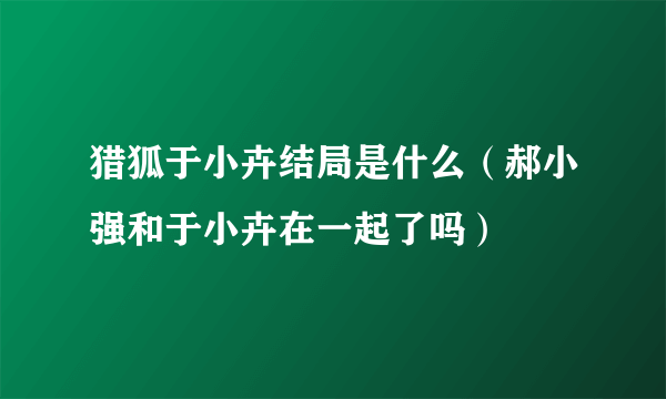 猎狐于小卉结局是什么（郝小强和于小卉在一起了吗）