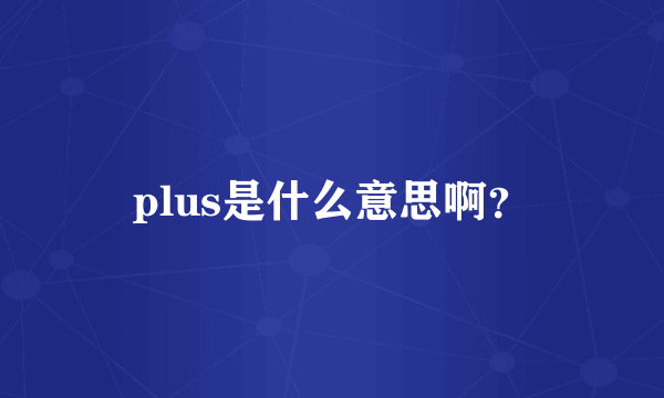 plus是什么意思啊？