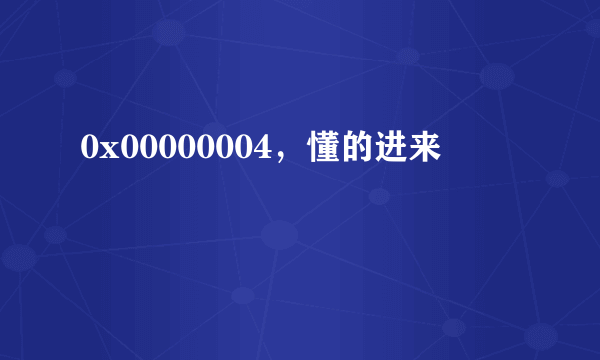 0x00000004，懂的进来