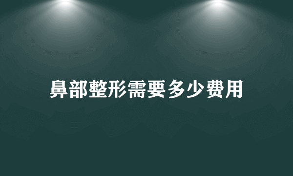 鼻部整形需要多少费用