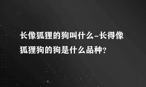 长像狐狸的狗叫什么-长得像狐狸狗的狗是什么品种？