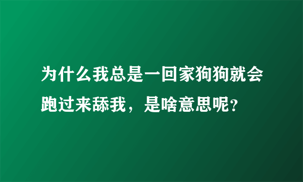 为什么我总是一回家狗狗就会跑过来舔我，是啥意思呢？