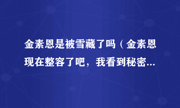 金素恩是被雪藏了吗（金素恩现在整容了吧，我看到秘密天使里的她的鼻子跟之前比变了好多啊，是不是整容了）介绍_飞外网