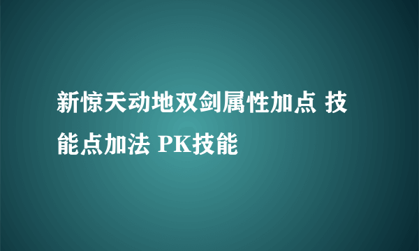 新惊天动地双剑属性加点 技能点加法 PK技能