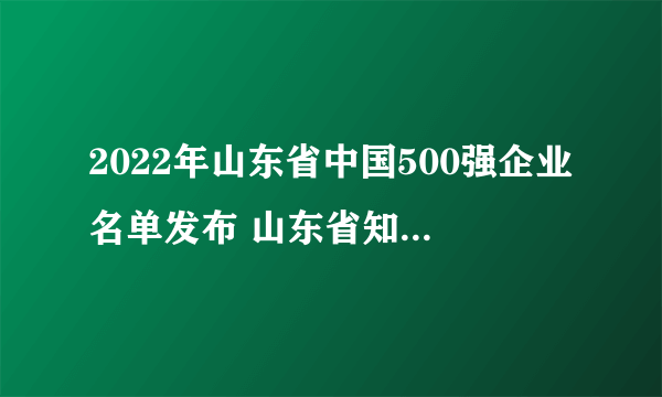 2022年山东省中国500强企业名单发布 山东省知名企业有哪些