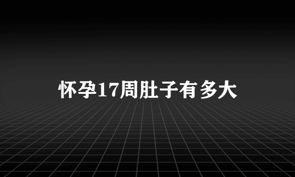 怀孕17周肚子有多大