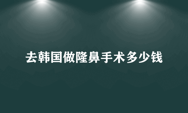 去韩国做隆鼻手术多少钱