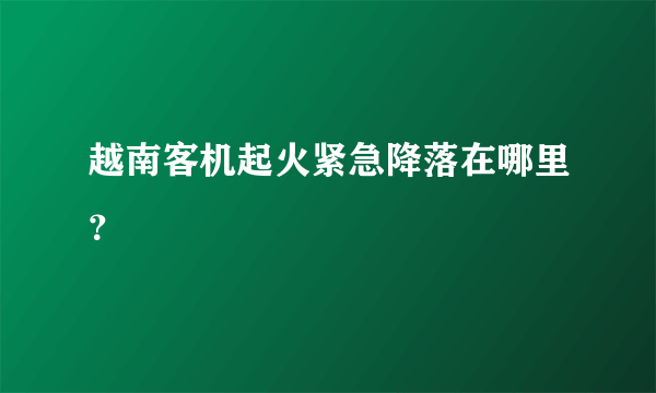 越南客机起火紧急降落在哪里？