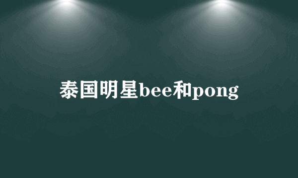 泰国明星bee和pong