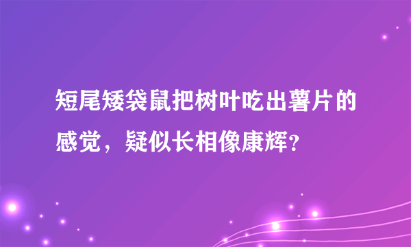 短尾矮袋鼠把树叶吃出薯片的感觉，疑似长相像康辉？