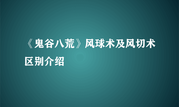 《鬼谷八荒》风球术及风切术区别介绍