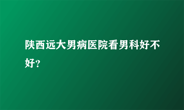 陕西远大男病医院看男科好不好？