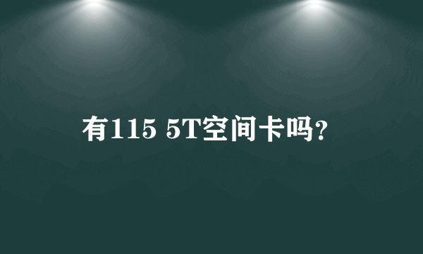 有115 5T空间卡吗？