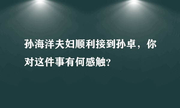 孙海洋夫妇顺利接到孙卓，你对这件事有何感触？