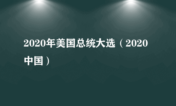 2020年美国总统大选（2020中国）