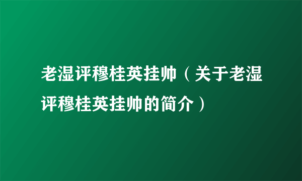 老湿评穆桂英挂帅（关于老湿评穆桂英挂帅的简介）