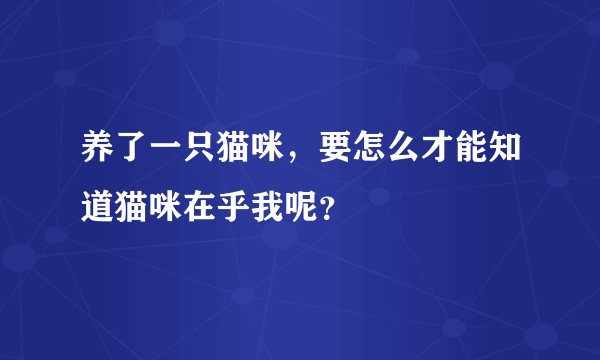 养了一只猫咪，要怎么才能知道猫咪在乎我呢？