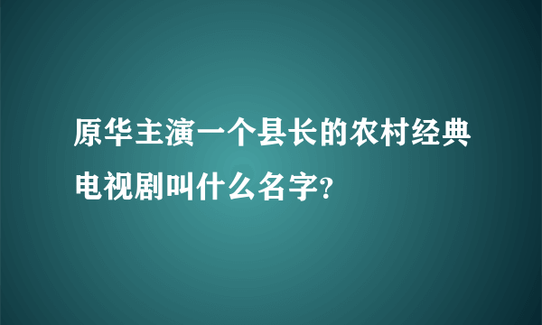 原华主演一个县长的农村经典电视剧叫什么名字？