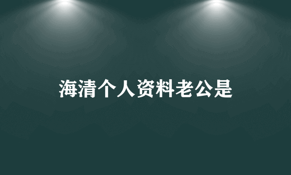 海清个人资料老公是