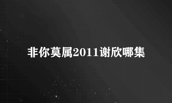 非你莫属2011谢欣哪集