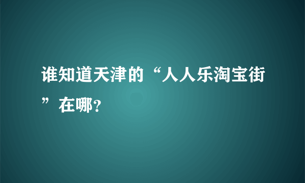 谁知道天津的“人人乐淘宝街”在哪？