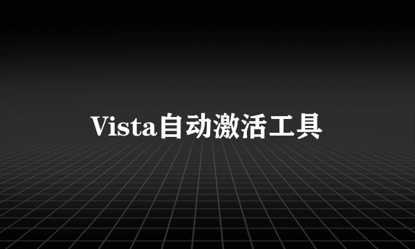 Vista自动激活工具