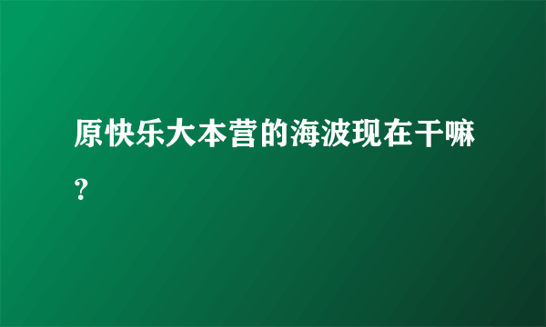 原快乐大本营的海波现在干嘛？