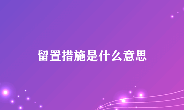 留置措施是什么意思