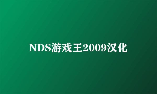 NDS游戏王2009汉化