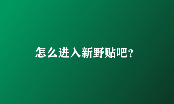 怎么进入新野贴吧？