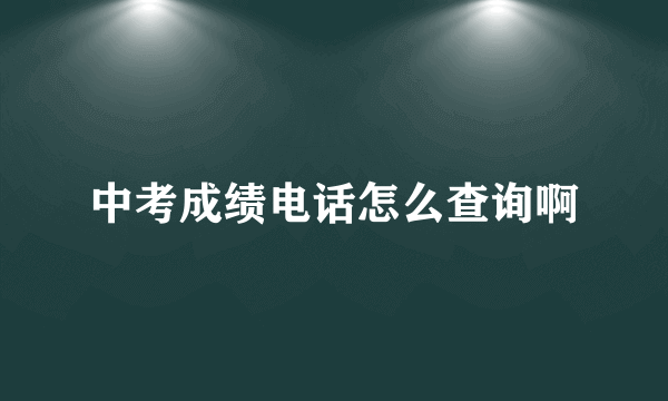 中考成绩电话怎么查询啊