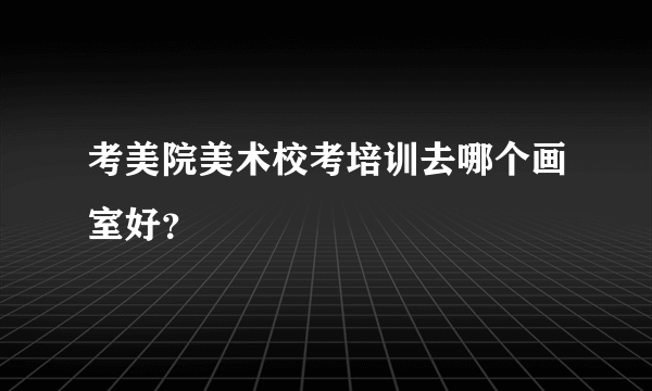 考美院美术校考培训去哪个画室好？