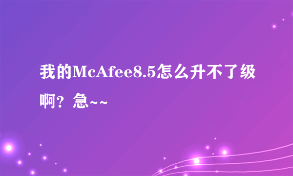 我的McAfee8.5怎么升不了级啊？急~~