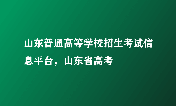 山东普通高等学校招生考试信息平台，山东省高考