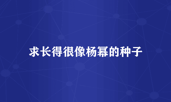 求长得很像杨幂的种子