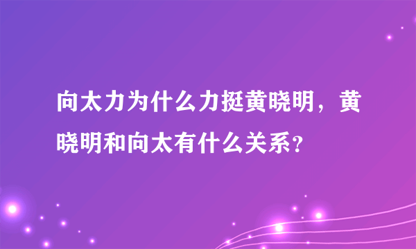 向太力为什么力挺黄晓明，黄晓明和向太有什么关系？