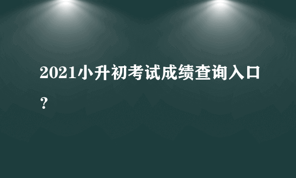 2021小升初考试成绩查询入口？